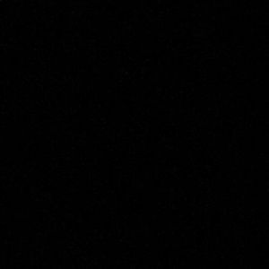 Meet your Posher, Cody